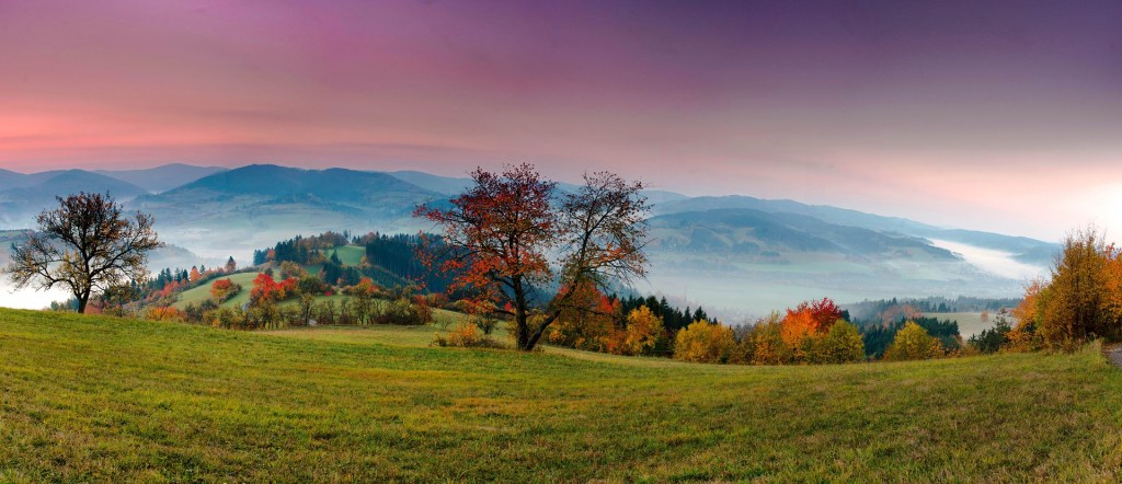 A Land With No Sensory Processing&nbsp;Disorder