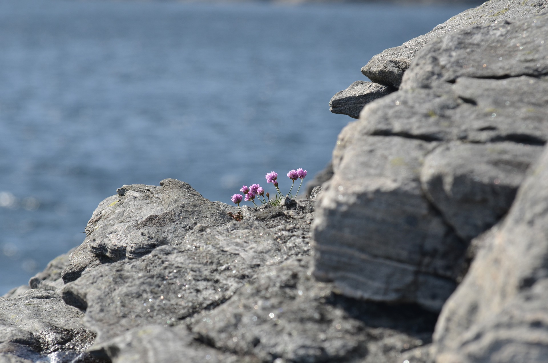 rock-3144158_1920